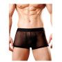 Boxer de Tul Negro Transparente Pasionel  | Ts Mayorista | Sex Shop...