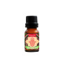 Aromatizante para Hornillo Palo Santo Bagués 10ml  | Ts Mayorista |...