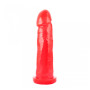 Macizo Magnifica Rojo Linea Brazilian 23 x 5 cm Caiman  | Ts Mayori...