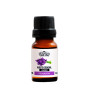 Aceite Esencial Lavanda Relajación Bagués 10ml  | Ts Mayorista | Se...