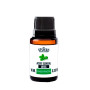 Aceite Esencial Menta Concentración Bagués 10ml  | Ts Mayorista | S...