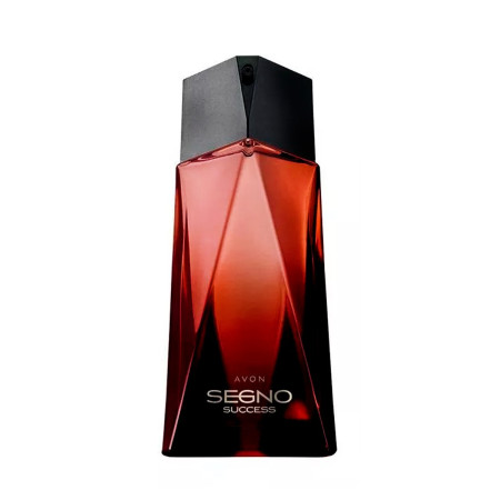 Segno Success Perfume Masculino EDP 100ml Avon  | Ts Mayorista | Se...